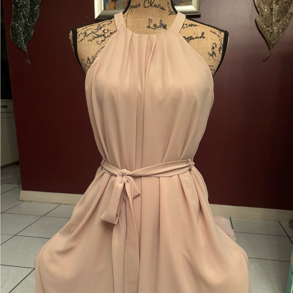 Naked Zebra Soft Pink Backless Dress